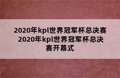 2020年kpl世界冠军杯总决赛 2020年kpl世界冠军杯总决赛开幕式